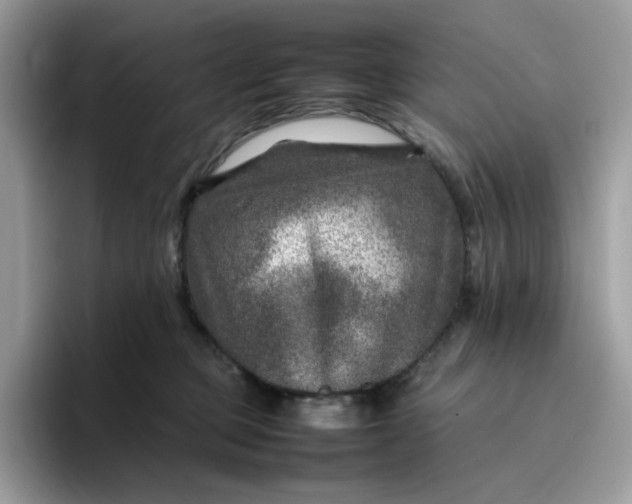 X0000095940373200801251115