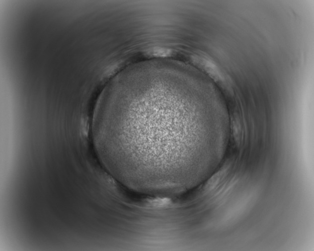 X0000095940374200801251115