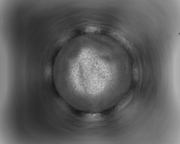 X0000095940375200801251115