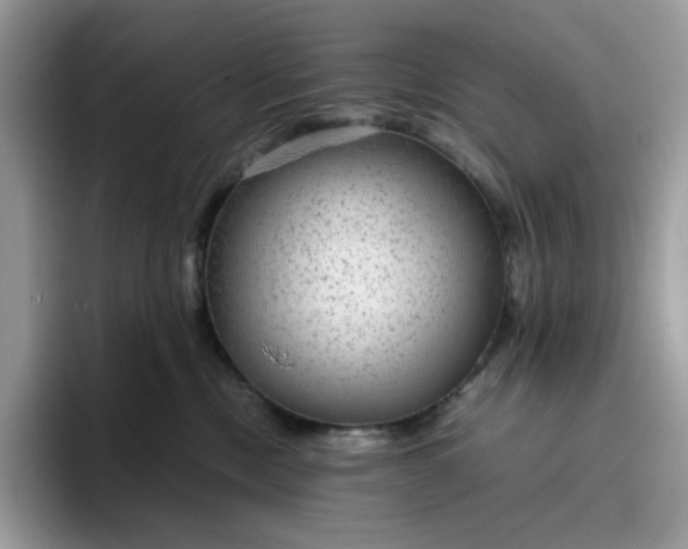 X0000095940378200801251115