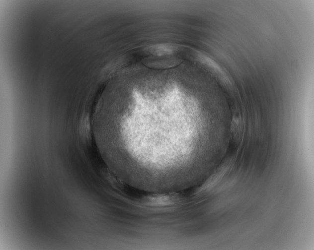 X0000095940381200801251115