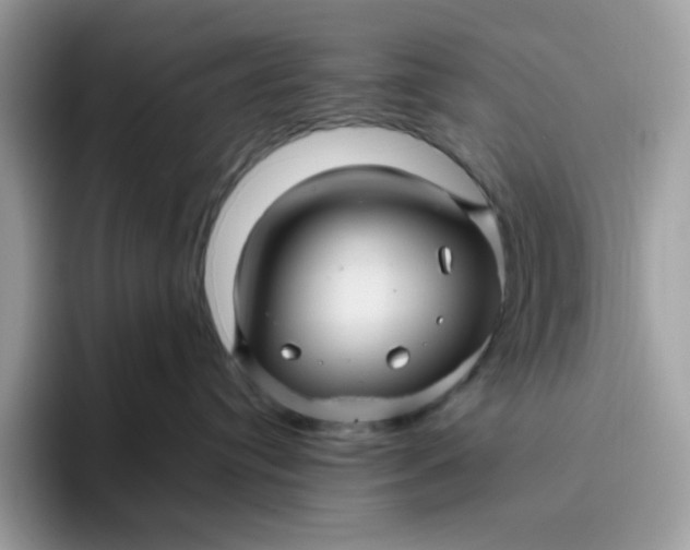 X0000095940384200801251115