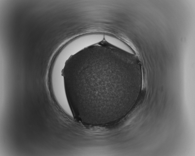 X0000095940387200801251114