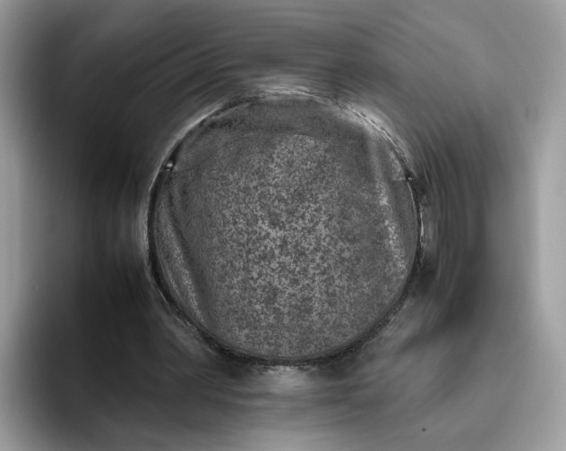 X0000095940390200801251114