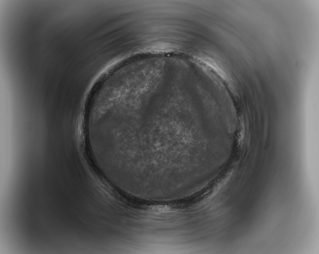 X0000095940392200801251114