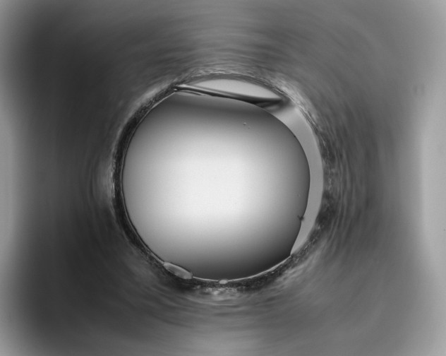 X0000095940395200801251114