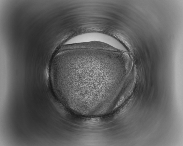 X0000095940398200801251114