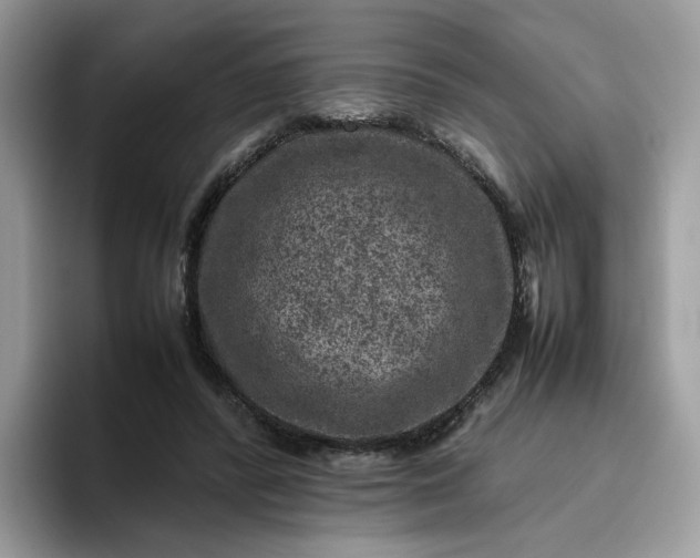 X0000095940400200801251114