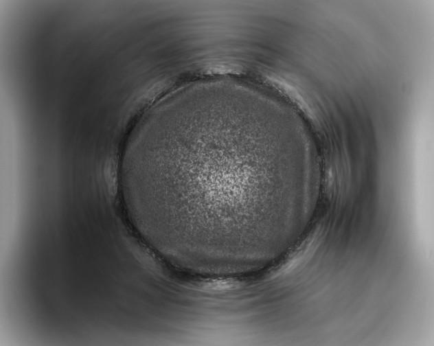 X0000095940402200801251114