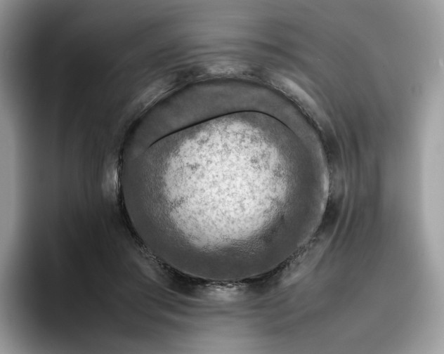 X0000095940405200801251114