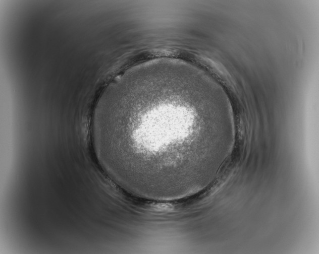 X0000095940409200801251114