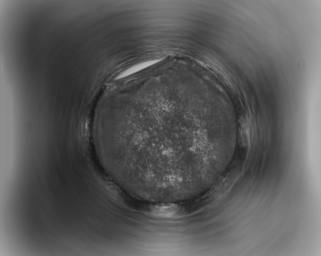 X0000095940410200801251114