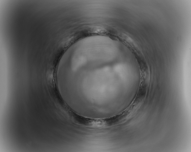 X0000095940415200801251114