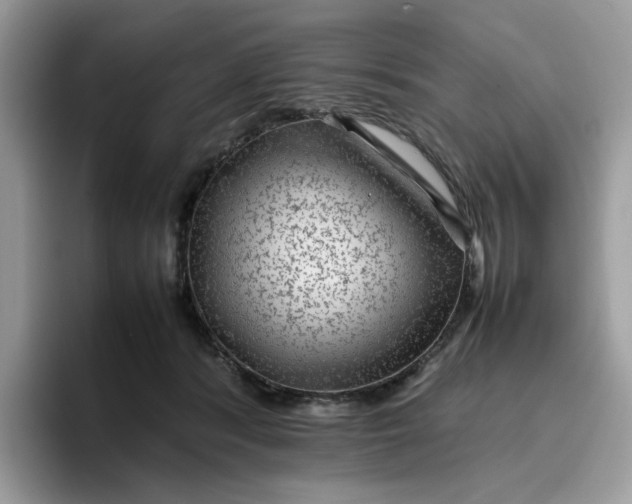 X0000095940416200801251114