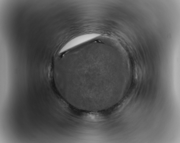 X0000095940420200801251114