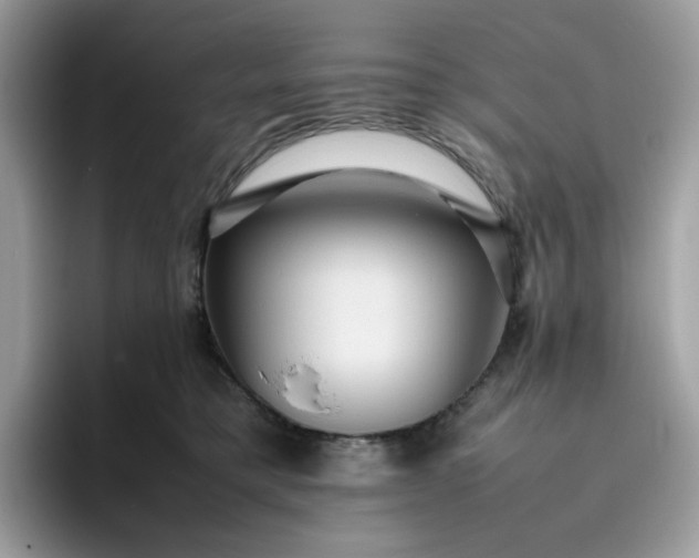 X0000095940421200801251114