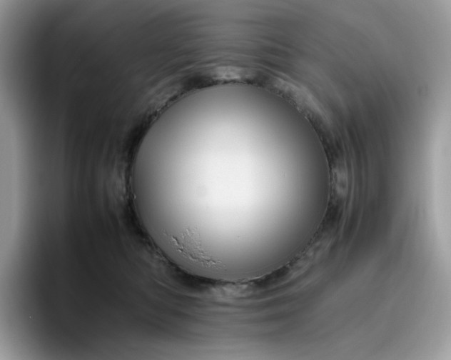 X0000095940422200801251114