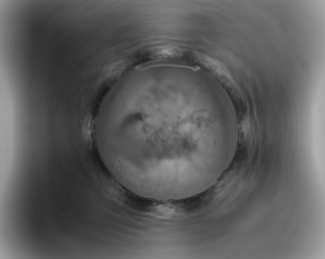 X0000095940423200801251114