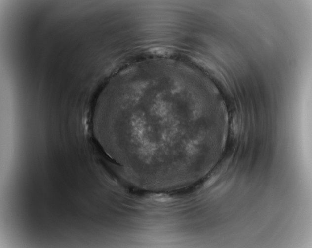 X0000095940424200801251114