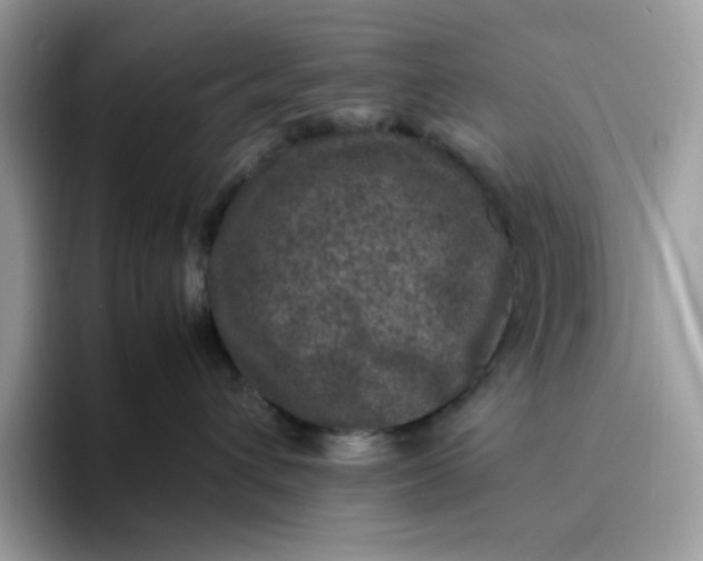 X0000095940432200801251114