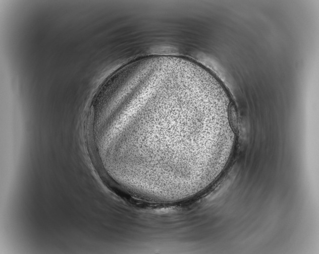 X0000095940433200801251113