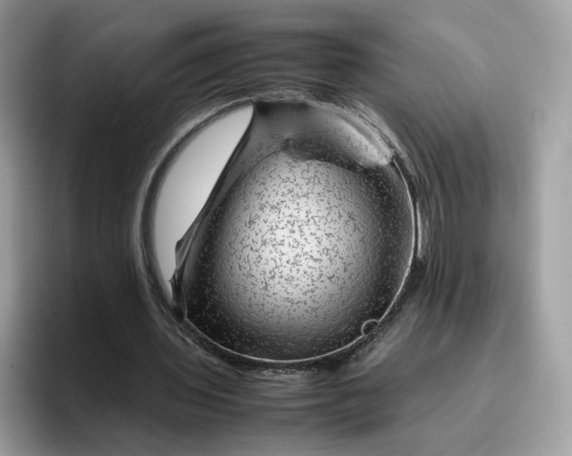 X0000095940435200801251113