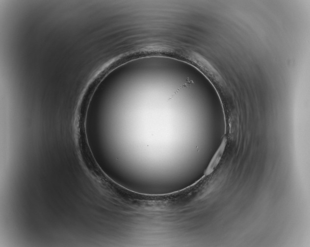 X0000095940436200801251113