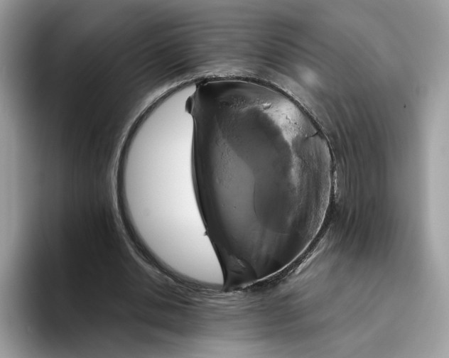 X0000095940438200801251113