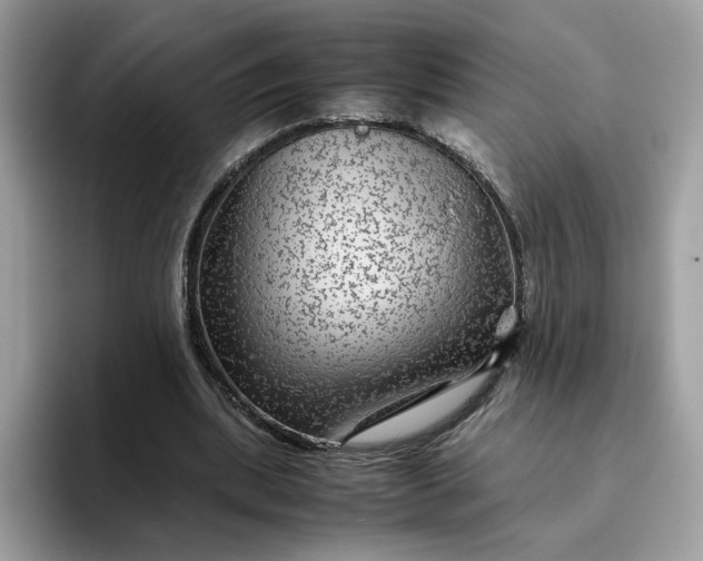 X0000095940439200801251113