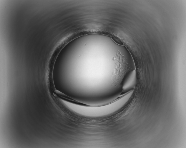 X0000095940440200801251113