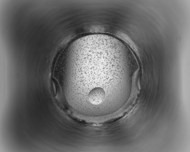 X0000095940441200801251113