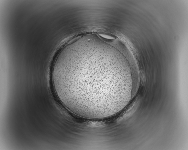 X0000095940442200801251113