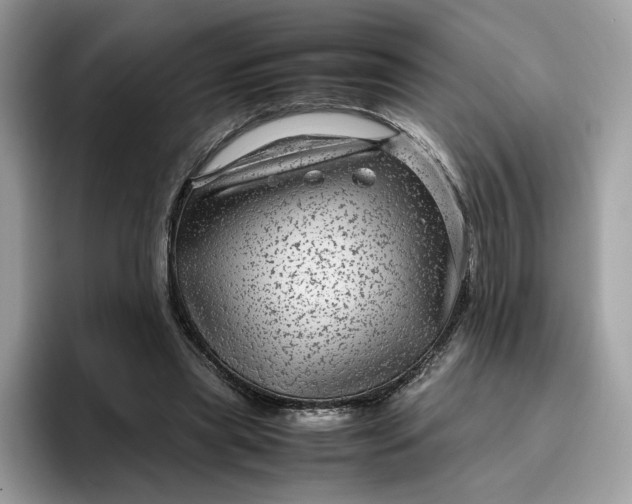 X0000095940445200801251113