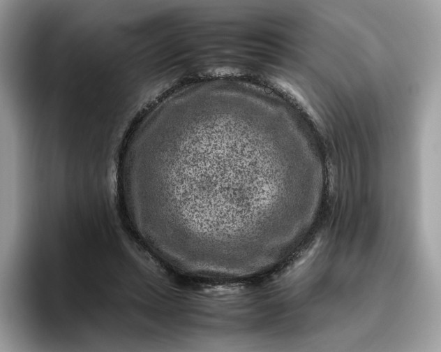 X0000095940447200801251113