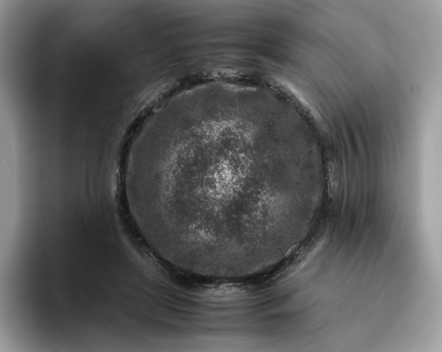 X0000095940451200801251113