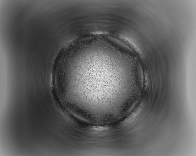 X0000095940453200801251113