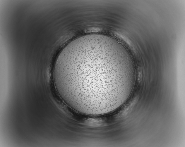 X0000095940455200801251113