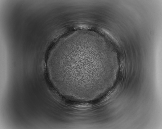 X0000095940459200801251113