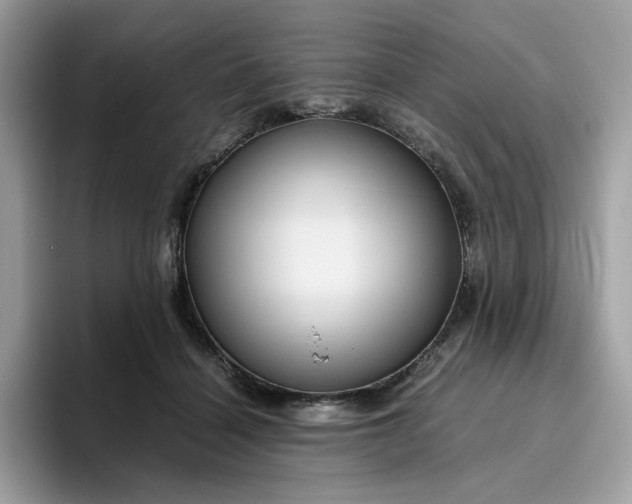 X0000095940460200801251113