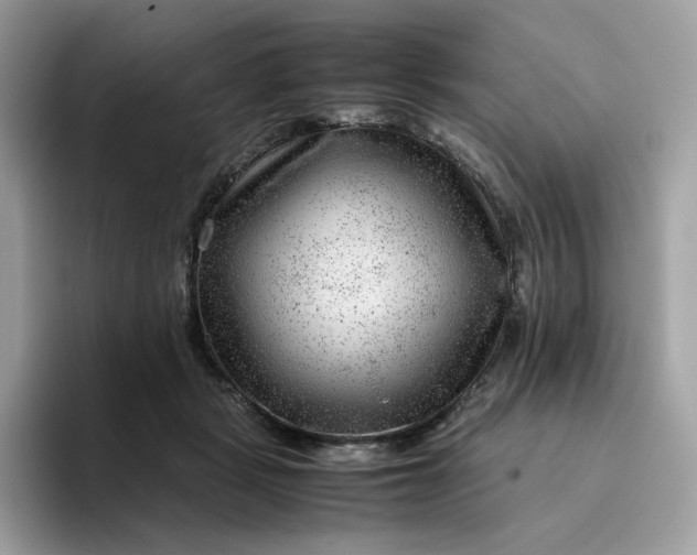 X0000095940461200801251113