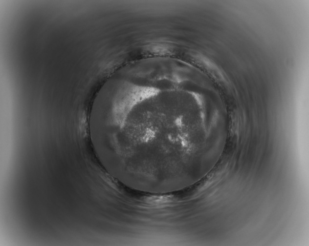 X0000095940465200801251113