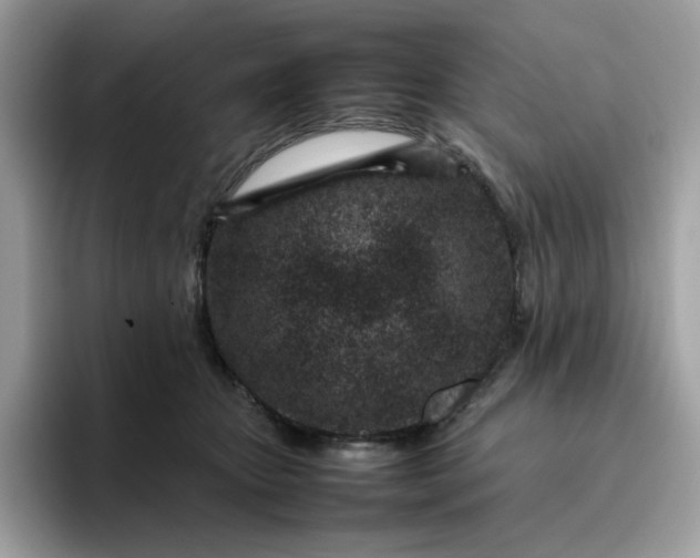 X0000095940467200801251113