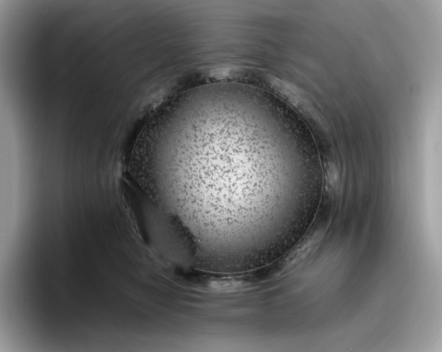 X0000095940470200801251113