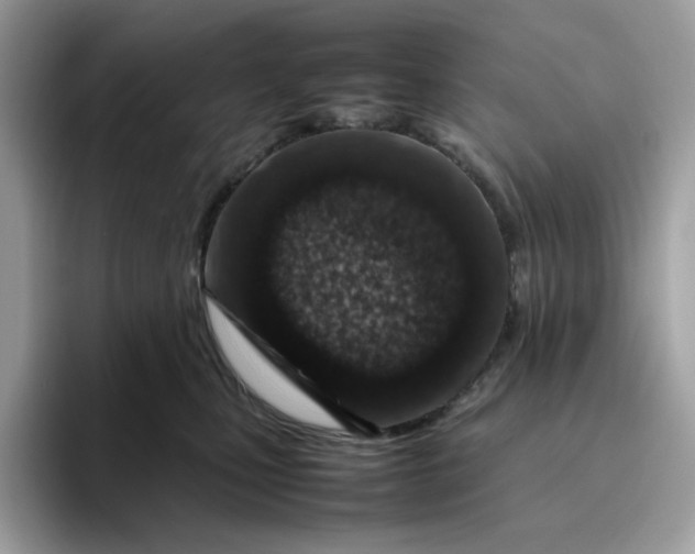 X0000095940471200801251113