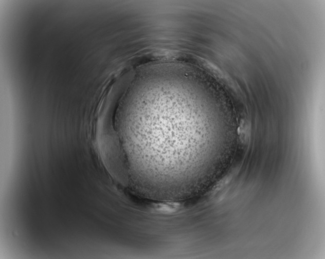 X0000095940474200801251113