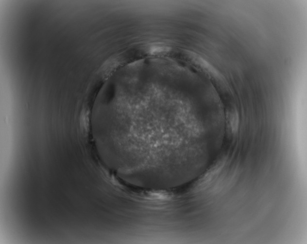 X0000095940475200801251113