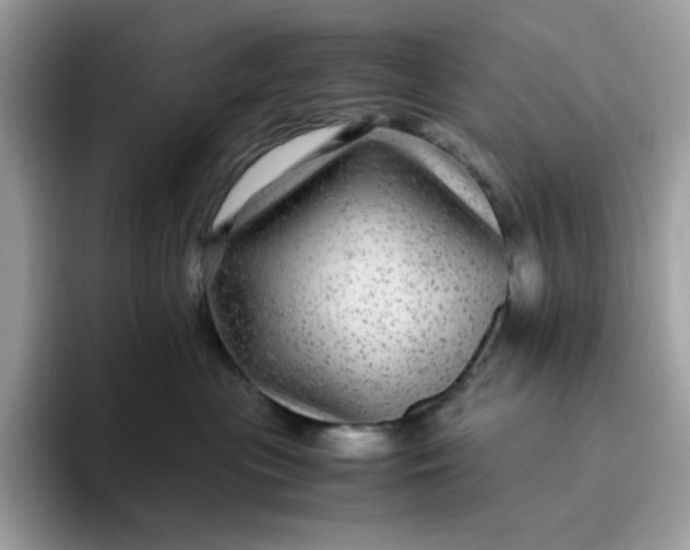 X0000095940477200801251113