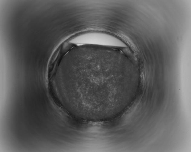 X0000095940484200801251113