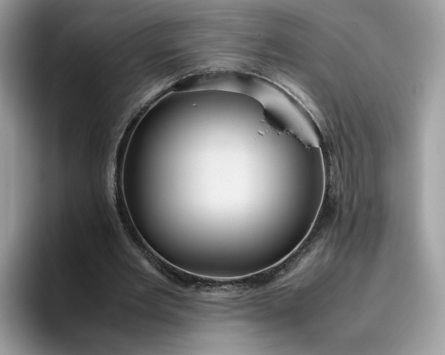 X0000095940485200801251113