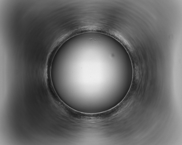 X0000095940486200801251113